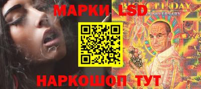 кокс Кудрово